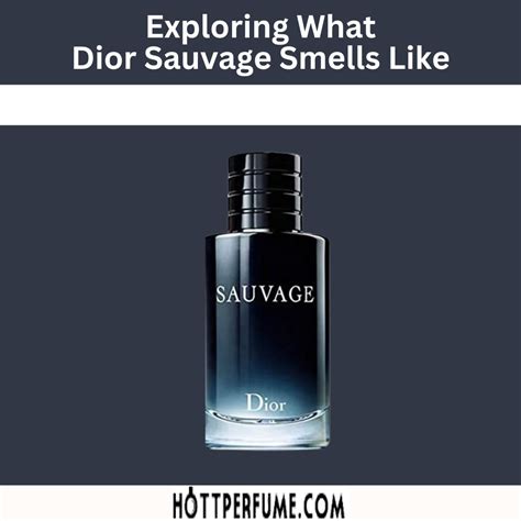 what smells like dior sauvage|alternatives to dior sauvage.